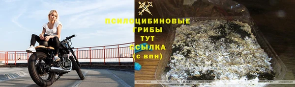 герыч Арсеньев