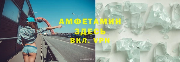 шишки Аркадак