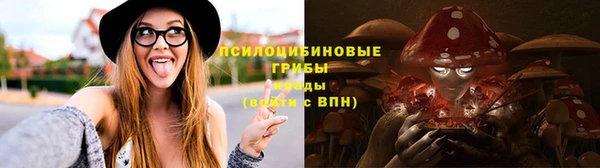 шишки Аркадак
