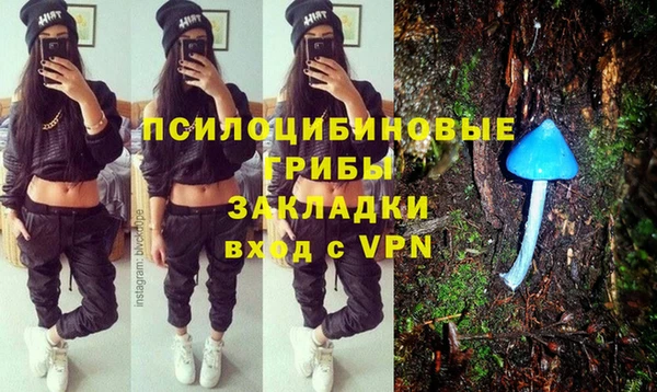 герыч Арсеньев