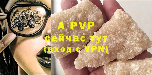 PSILOCYBIN Ладушкин