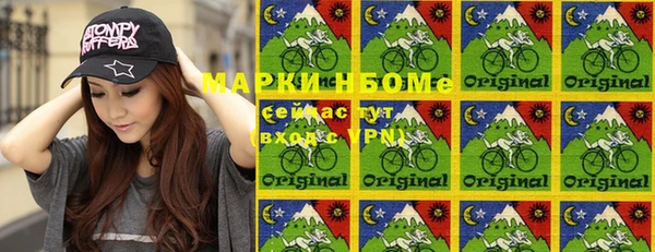 шишки Аркадак