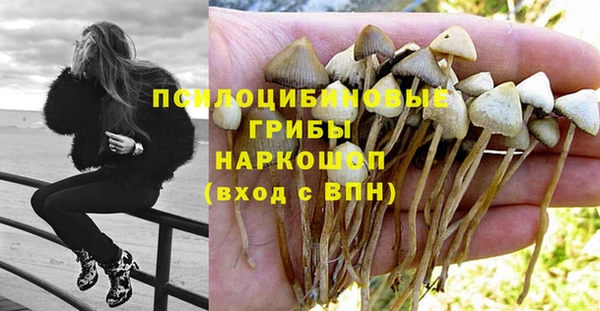 таблы Армянск