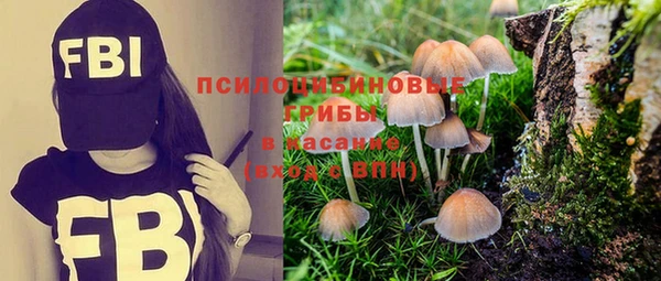 шишки Аркадак