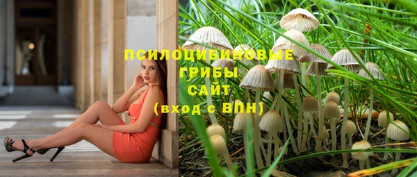 таблы Армянск
