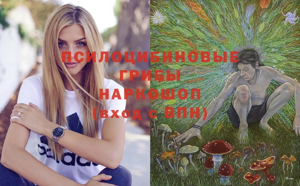 шишки Аркадак