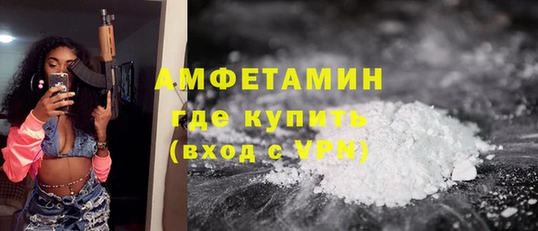 шишки Аркадак